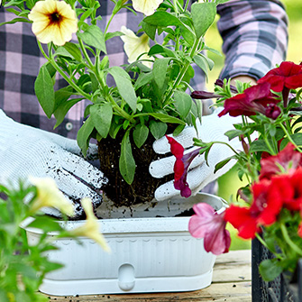 Aménagement extérieur